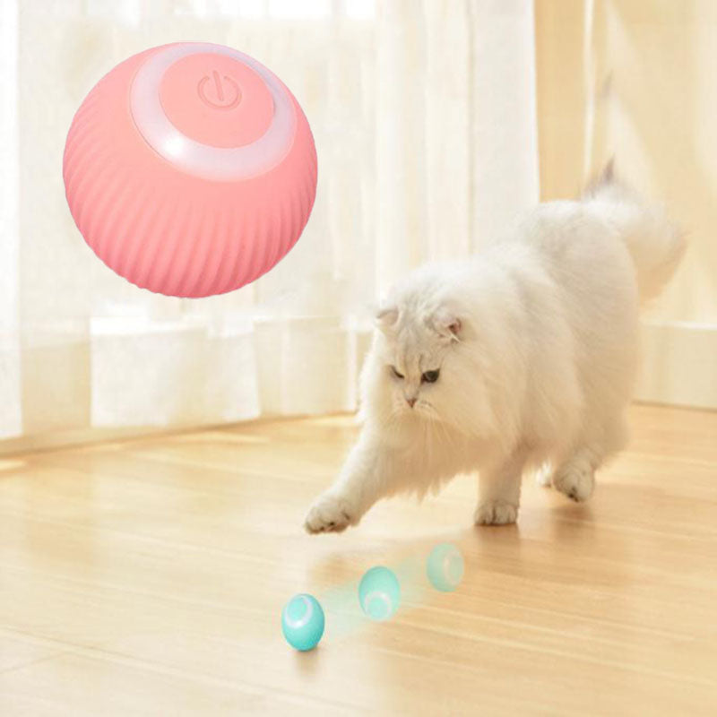 Whiskers & Wag™ Interactive Ball